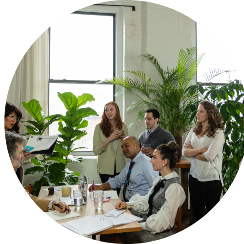 Professional Services 3