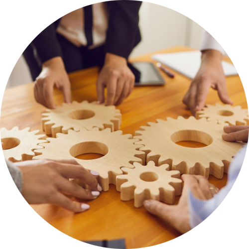 Professional Services 1
